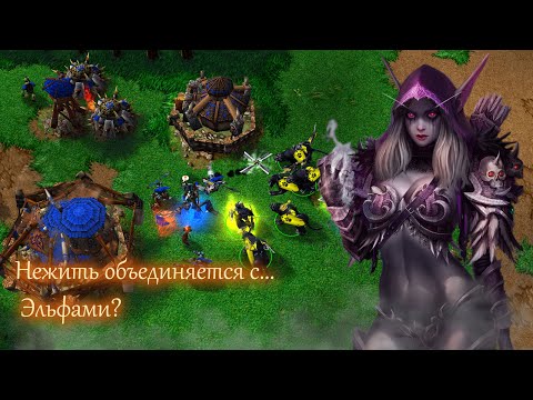Видео: Warcraft III. Темная охотница против орка работает?