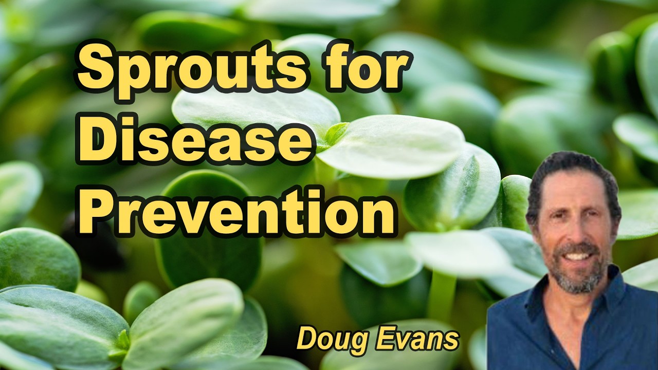 Sprouts as a Complete Nutritional Foundation for Disease Prevention