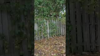 People Of The Nation