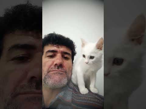 بازم اینبار پنبه خانم