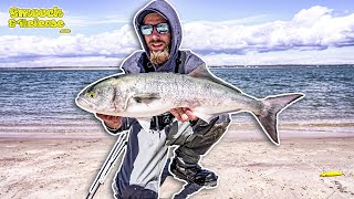 Bluefish, Striped Bass and Fluke ARE HERE!  Surf Fishing Long Island Spring FT JOEBAGGS