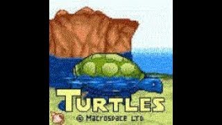 Famous "Turtles" - Macrospace 2002 year (Java Game) Net Worth