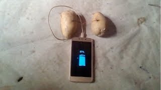 Made Mobile Chargers With Potatoes.