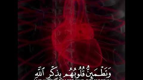 القارئ  اسلام صبحي | ارح سمعك.. تلاوة هادئة تريح القلب والعقل💙🎧