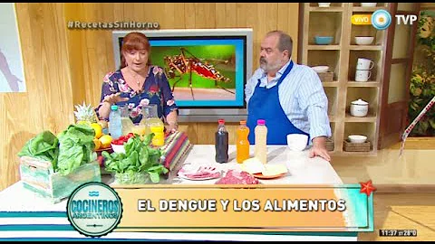 Como aumentar as plaquetas em caso de dengue?