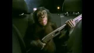 Trunk Monkey Date Night Chaperone Edition Commercial Very Funny TV Ads from Suburban Auto Group 2003