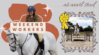 Working hunter -80 & 90cm- jumping classes at anvil stud