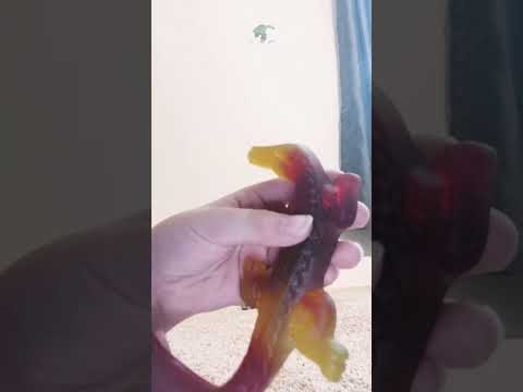 Jelly belly pet