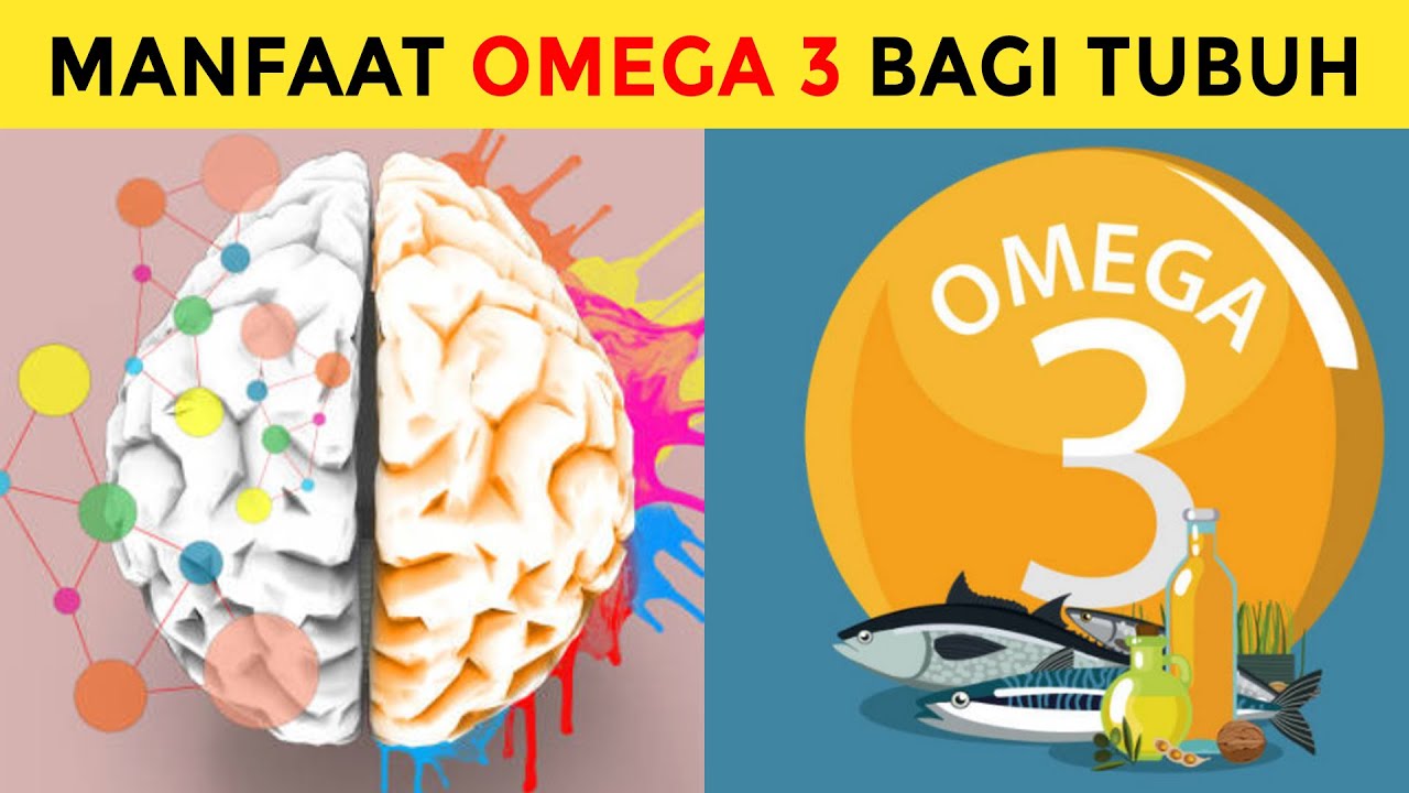Inilah 7 Manfaat Omega 3 untuk kesehatan YouTube