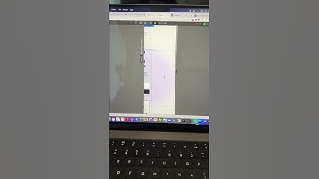 Fix horizontal scroll in Webflow with a page wrapper 😳