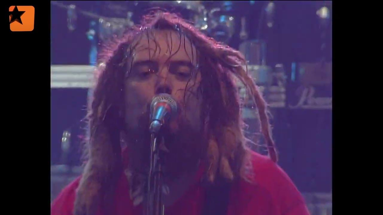 Cavalera Conspiracy - Troops of Doom - Live Eurockéennes