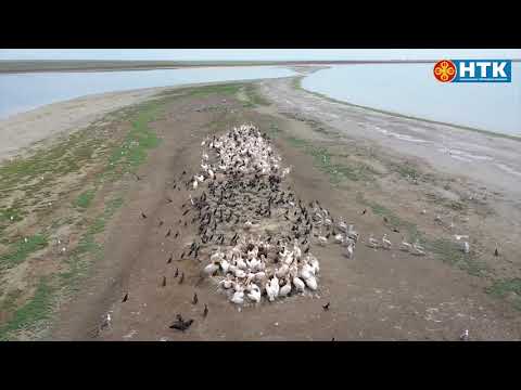 Упрощен порядок получения