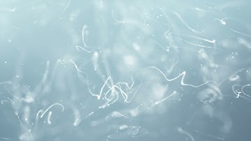 White Clean Abstract Particle Lines Pattern Background