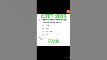 ctet EVS 2023 important questions ctetjuly2023 ctet 20 August EVS questions #ctet_shorts #shorts