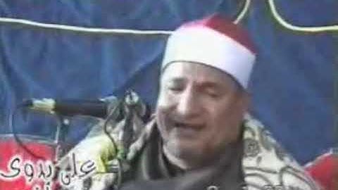 الشيخ محمد عبدالوهاب الطنطاوي سورة الأنفال