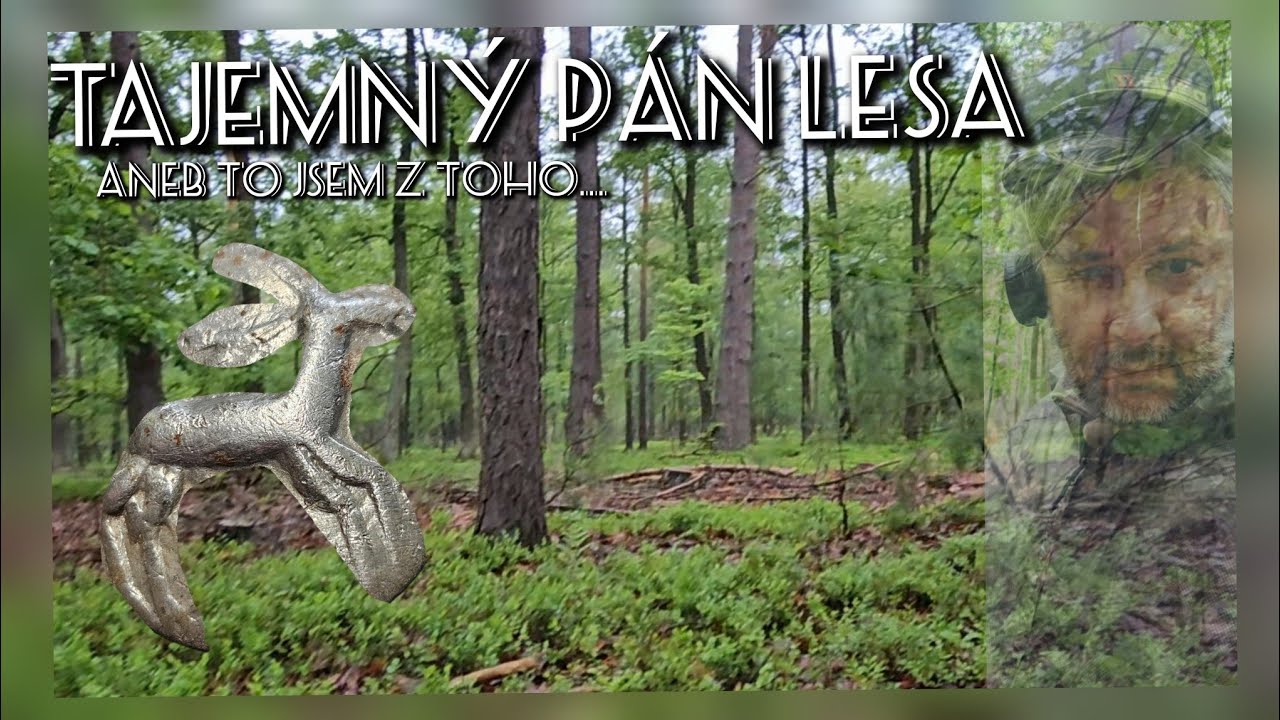 Rozsypané stříbrňáky a kolosální knoflík pána lesa.