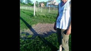 Hinja Vs Rade Lukic Amajlije