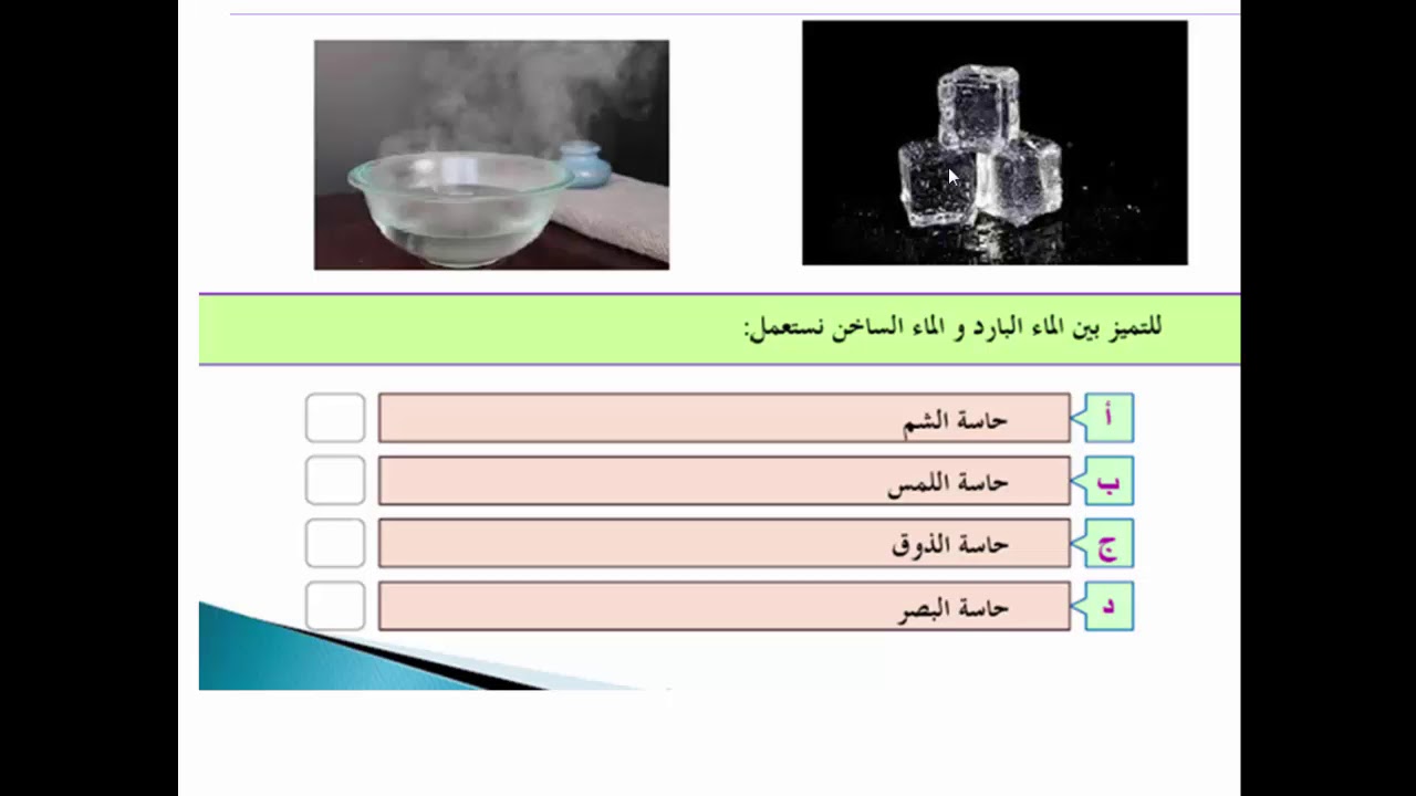 التقويم والمعالجة التربوية وفق المقاربة بالكفايات في مادة العلوم