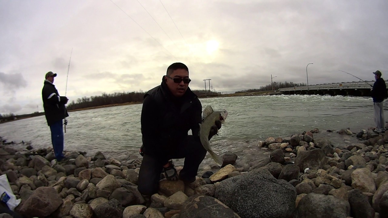 Walleye fishing at fairford manitoba - YouTube