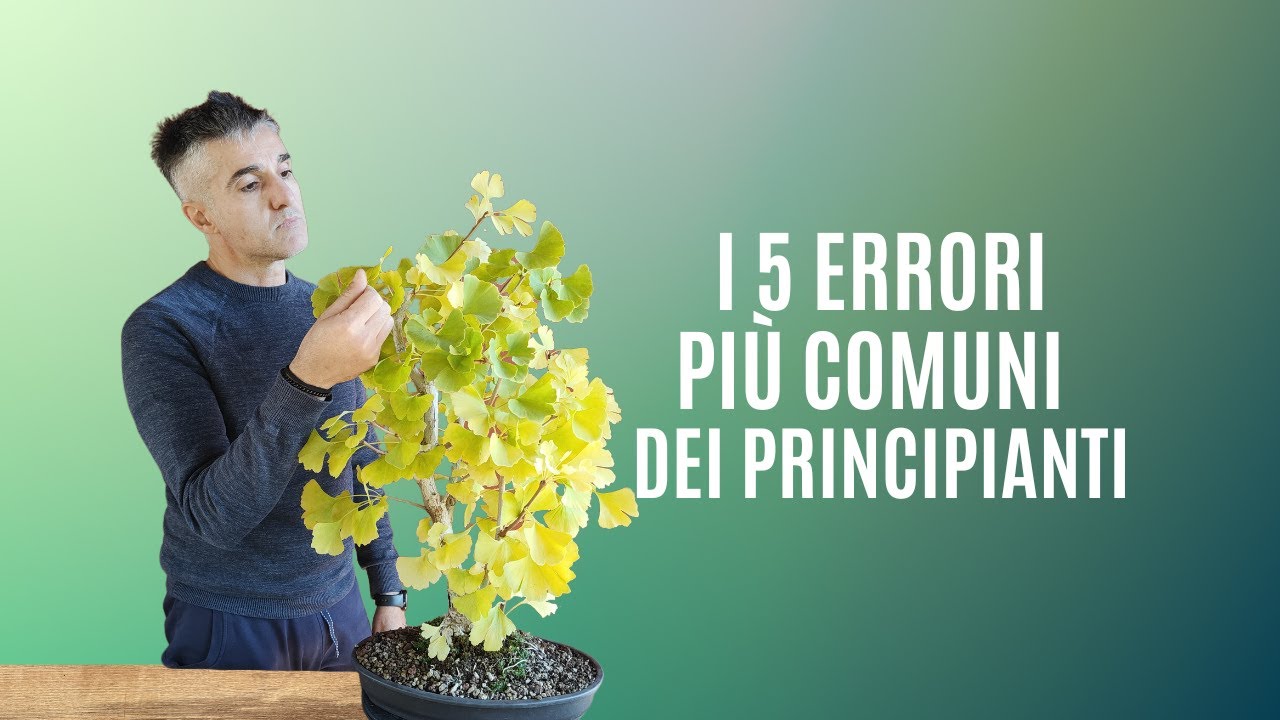 I 5 ERRORI PIÙ COMUNI nella coltivazione BONSAI
