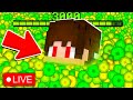 INIZIAMO LA FARM di XP MIGLIORE su MINECRAFT!