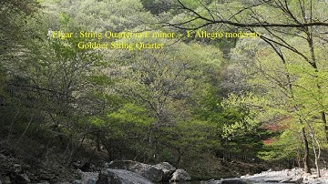 Elgar : String Quartet in E minor  -  I. Allegro moderato