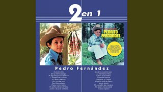 Mi Salón Está De Fiesta (Tema Remasterizado)