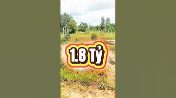 Đất Dầu Tiếng I Bán gấp lô view Hồ 13.5 × 91 ( Tc 300 ) giá ngộp #datdautieng