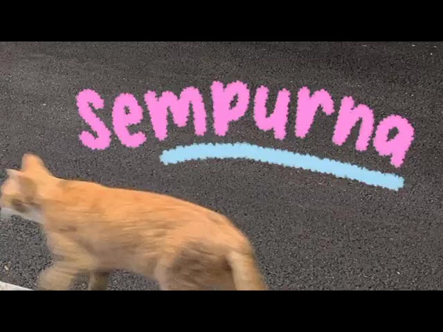 sempurna — andra and the backbone ( slowed / tiktok version ). class=