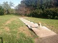 柴犬　都立小宮公園の駐車場ルート (適当動画)