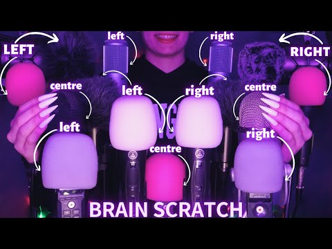 ASMR Mic Scratching - Brain Scratching with 15 MICS🎤| No Talking for Sleep with Long Nails 1H - 4K