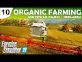 Our fields are ready to harvest | Farming Simulator 22 | FS22 | Organic Farming