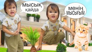 картинка: АПТАЛЫҚ ВЛОГ😍.МЫСЫҒЫМ ҚАЙДА😿😎#challenge #vlog 