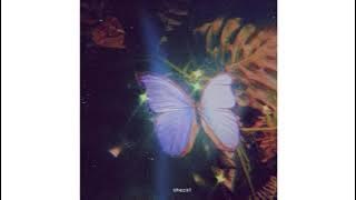 shezol - someone you loved (ft. shalom margaret) | lofi remix