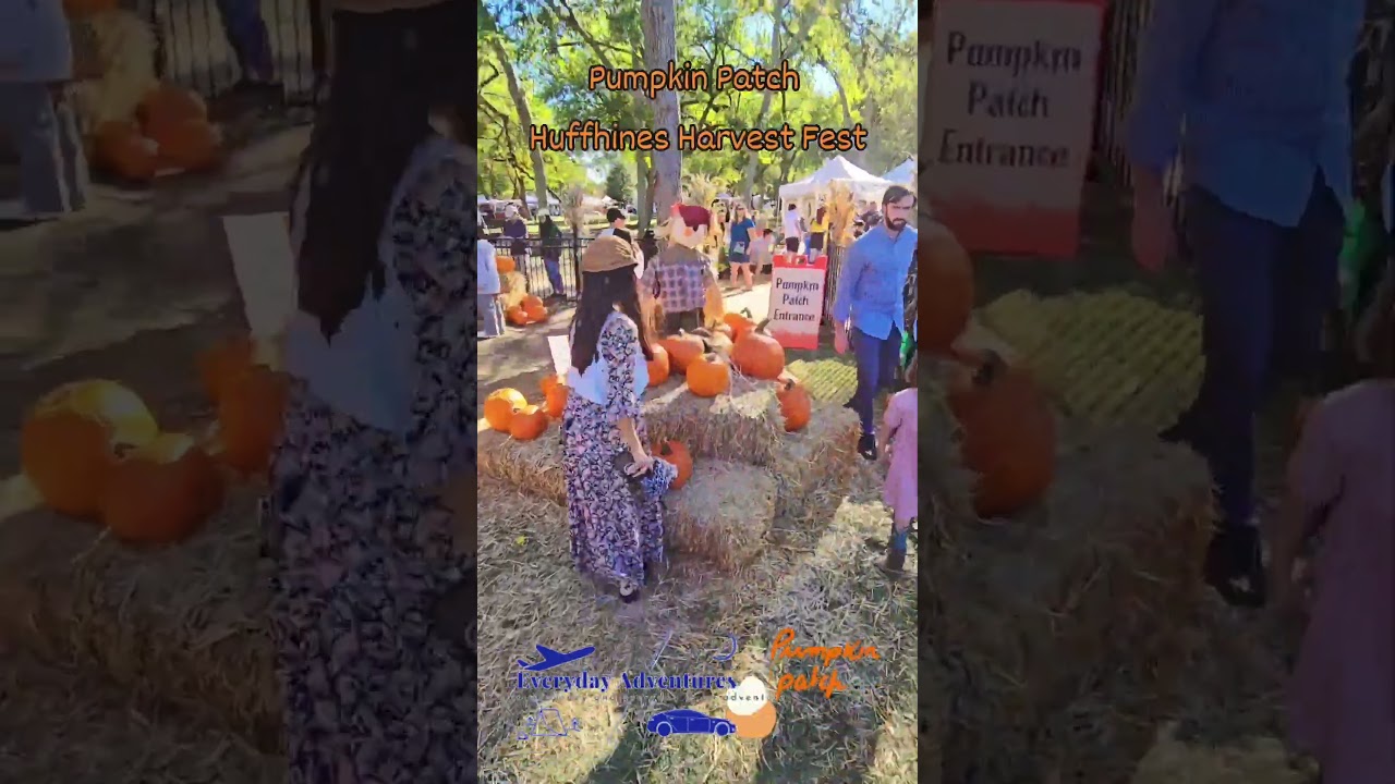 Pumpkin Patch at Huffhines Harvest Fest 2025 | Richardson Texas