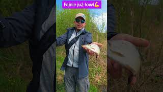 Wędka BratkoBaits #barsch #fishing #okoń #ultralightfishing #handmade #barsch #białoryb #lin #jig