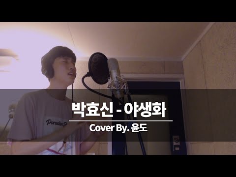 박효신 야생화 커버 윤도