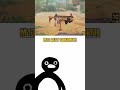 m13 best gunsmith in cod mobile #shortsfeed #shortvideo #shortsvideo #shorts #short #harshxd