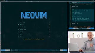 делаем виджет для стрим #noai #neovim  #python #novibecode