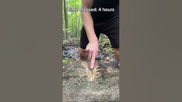 Thumbnail of The unemployed friend on a Tuesday afternoon 💀 #challengevideo #mrbeastchallange #wilderness