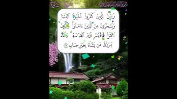 سورة البقرة الآية ( 212 )