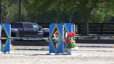 Video of Flashy ridden by Tamara Morse from ShowNet!