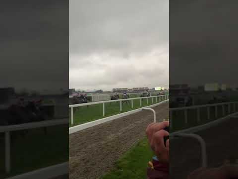 Cheltenham Festival |