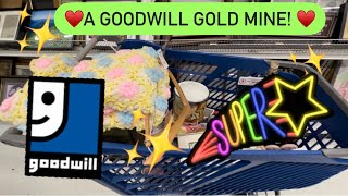 A Goodwill Gold Mine! Come Thrift With Me For Resale on Ebay! + HAUL