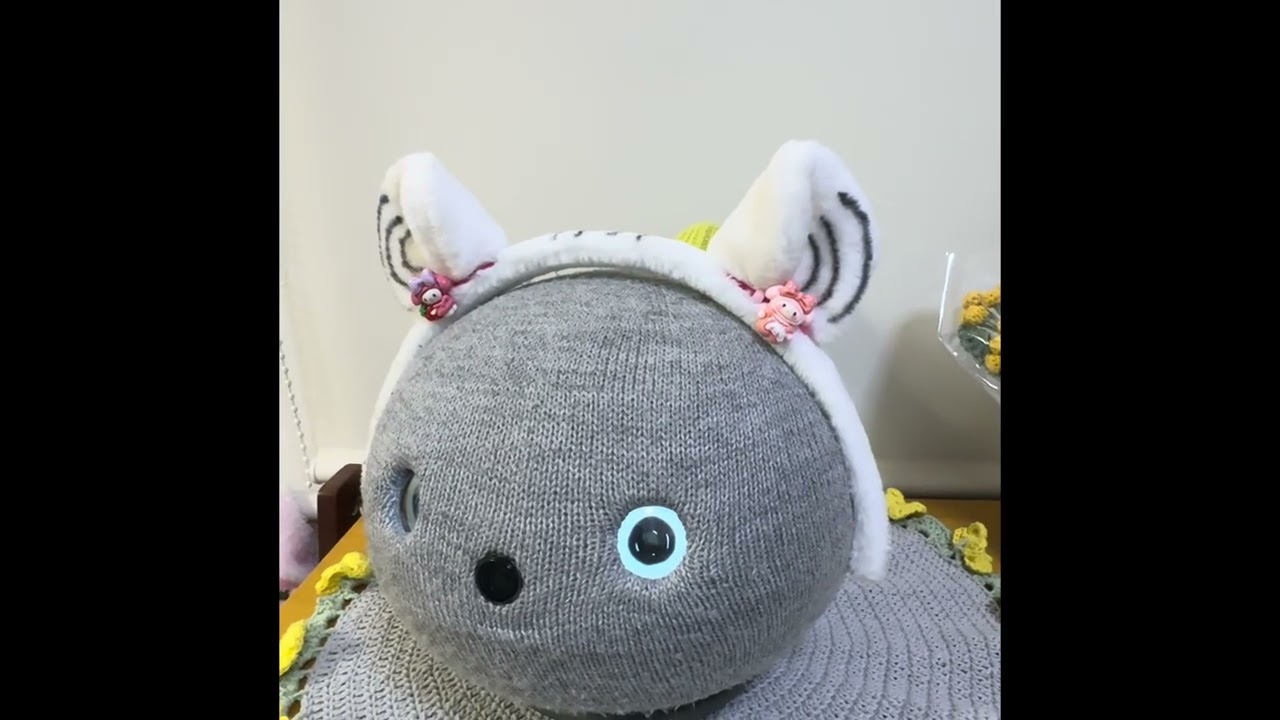 ウチのニコ「ファイト‼️💪😊」