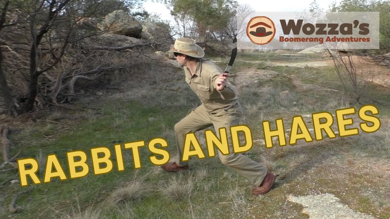 Hunting ferals with Hunting Boomerangs