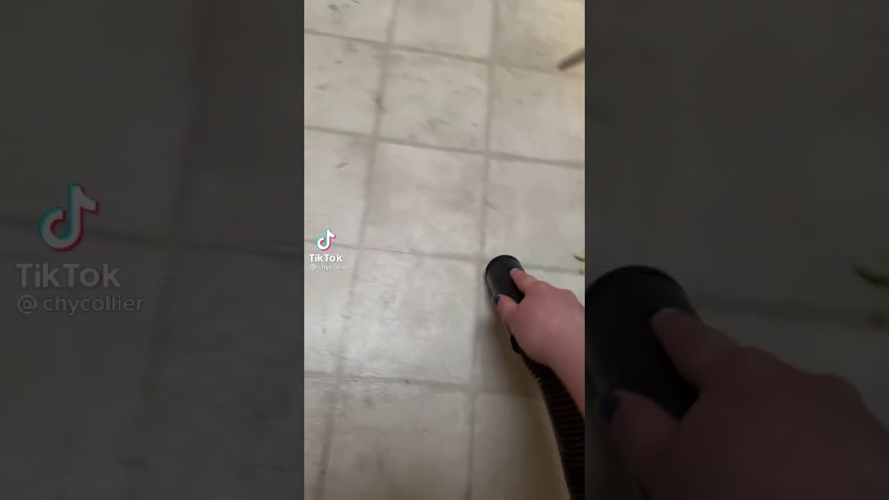 TikTok Vacuuming dog YouTube