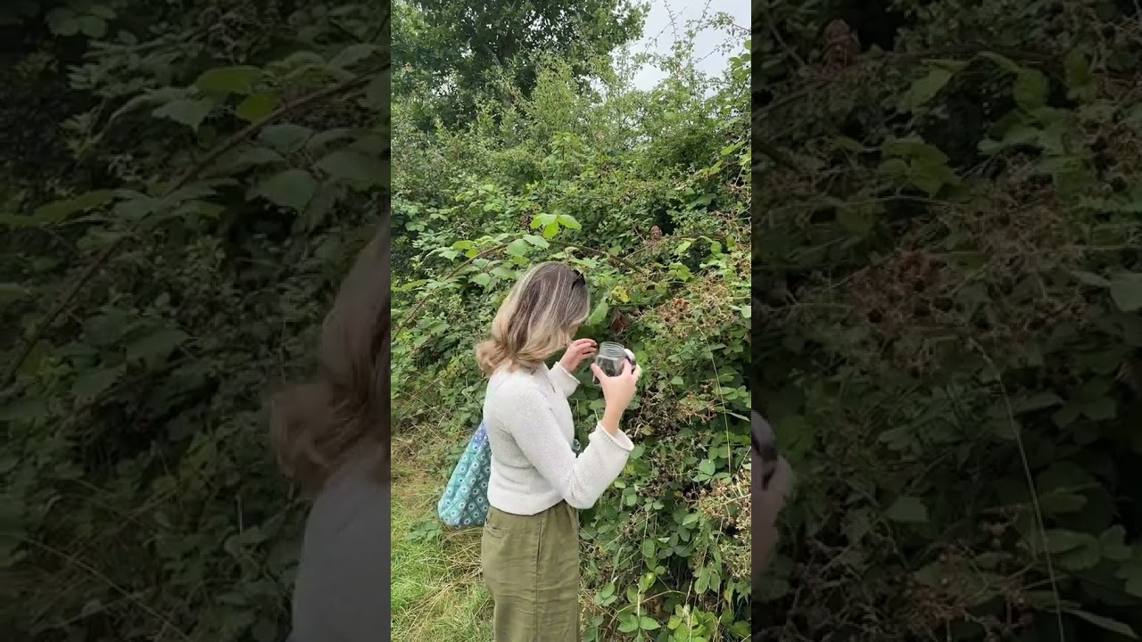 blackberry seasonnnn ✨ 