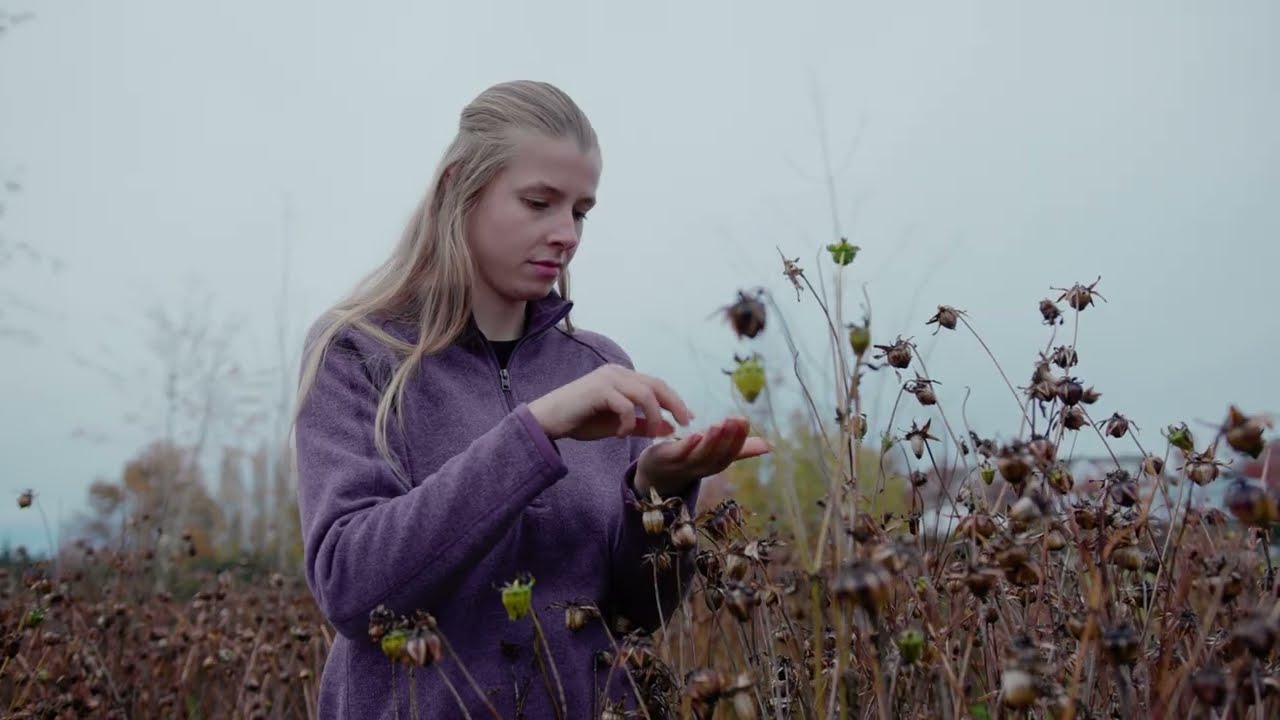 Cover Crop Species Selection: Lessons from Athiana Acres