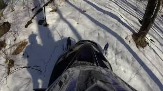 Sled Season 2016-2017 Quick Edit
